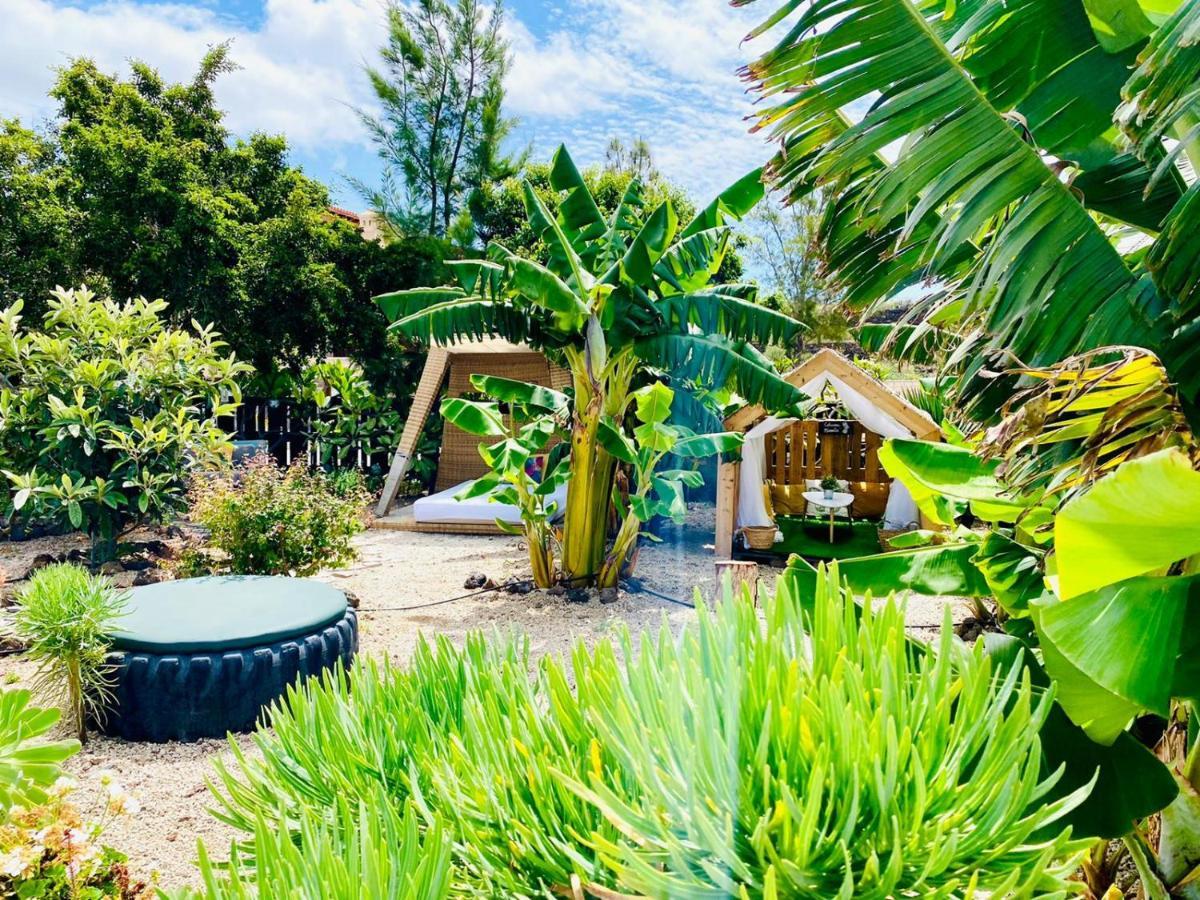 Alisios Hot Tub, Piscina Y Naturaleza Buzanada Luaran gambar